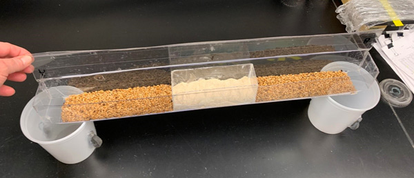 photo of experimental landscape