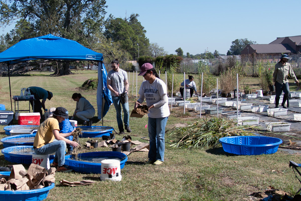 lab group in garden