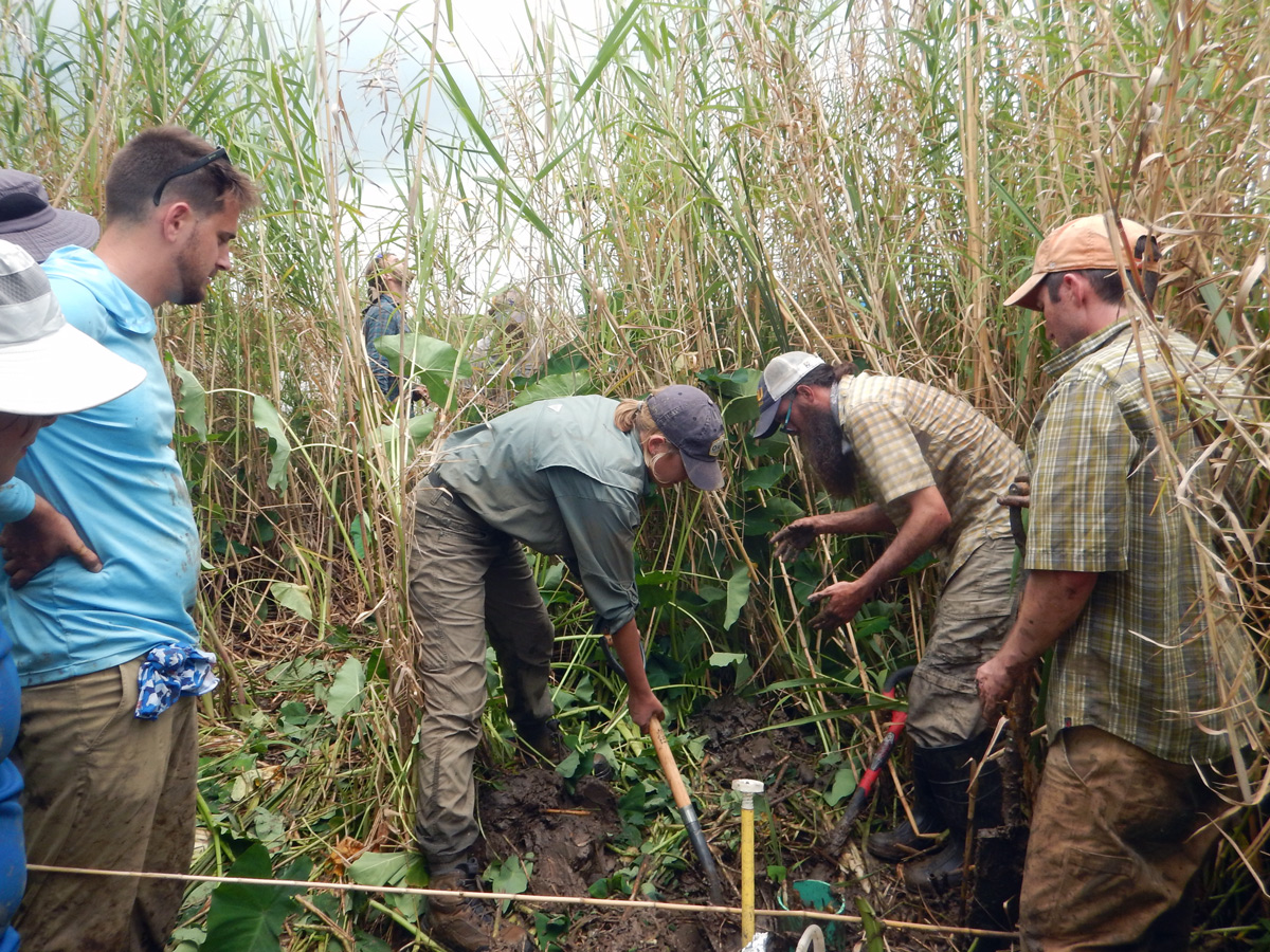 lab group digging in field