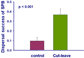 Control vs. Cut-and-Leave Graph