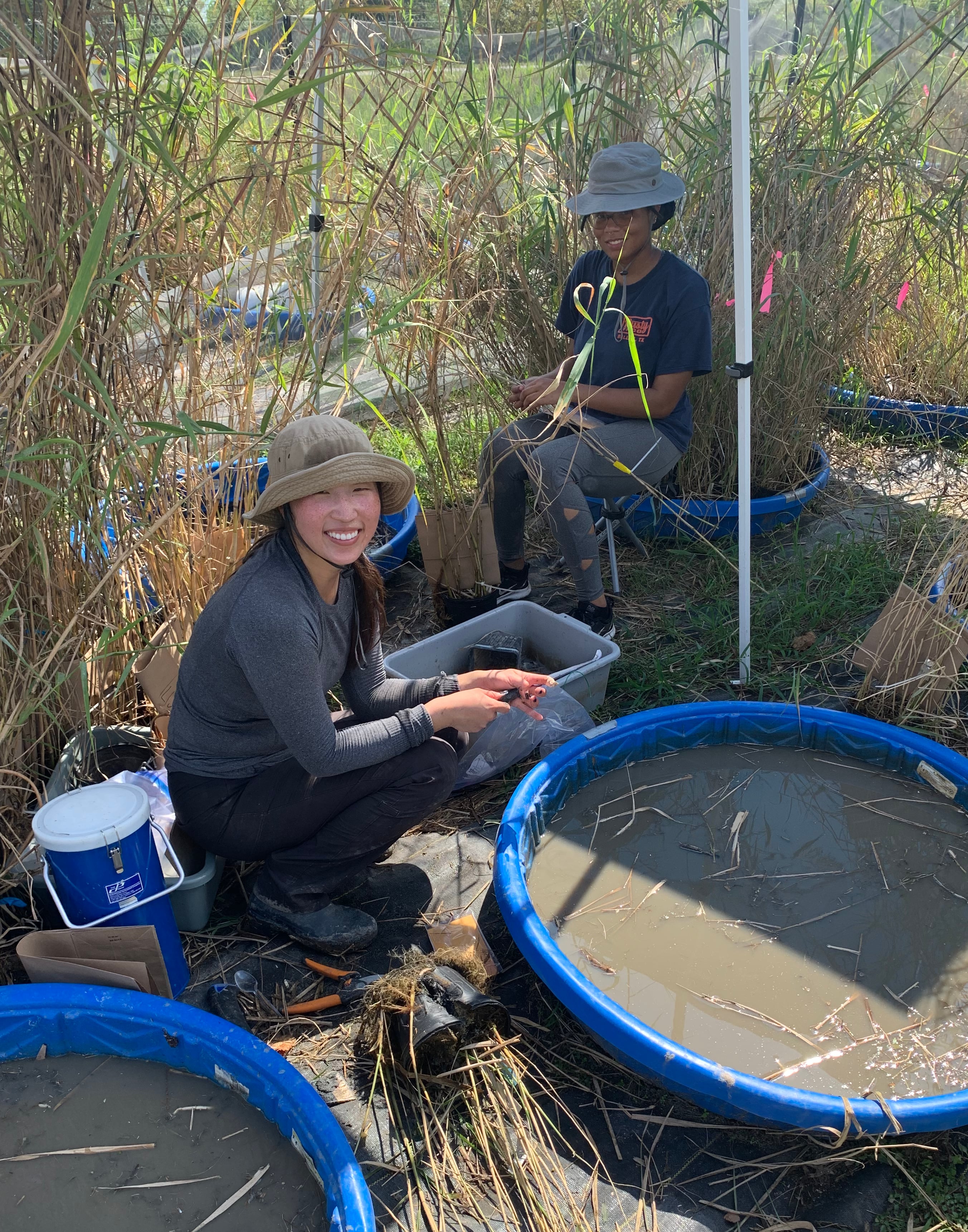 students working in garden