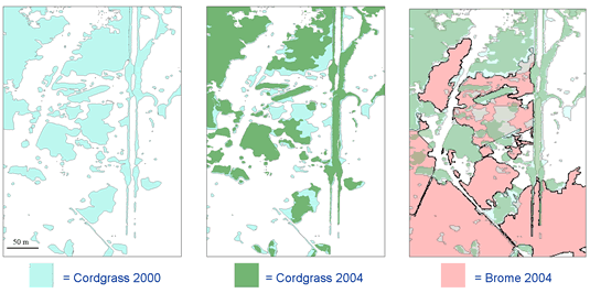 GIS maps