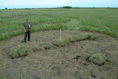 Kyle Haynes in experimental corridor plots