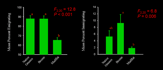 Graph of Matrix Effect