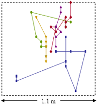 Planthopper Movement Paths in Brome