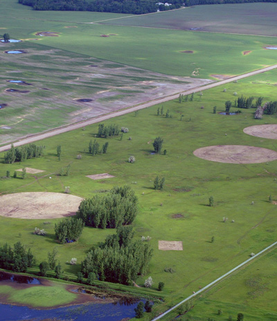 Aerial photo of Landscape Experiment Site 