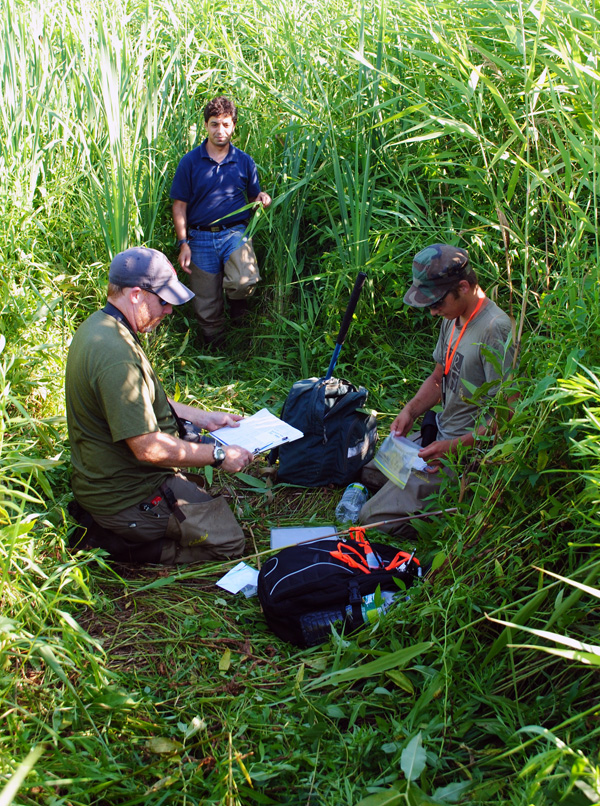 Cronin and students in field