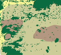 Fragmented Distribution of Cordgrass